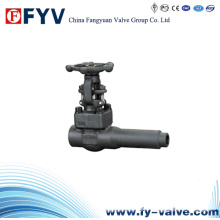 Forged Extended Body Gate Valve